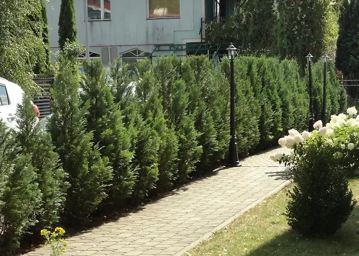 Heweliusz * 乌斯特卡